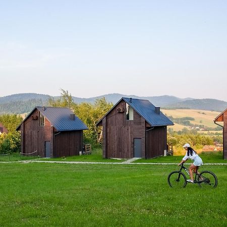 Polana Piorun Domki Wakacyjne W Beskidach Krynica Zdroj Luaran gambar