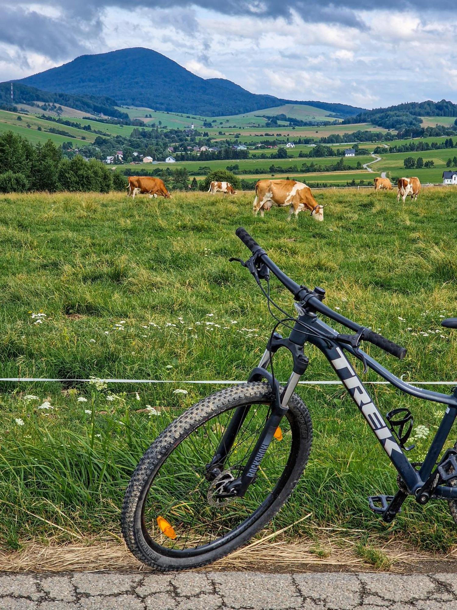 Polana Piorun Domki Wakacyjne W Beskidach Krynica Zdroj Luaran gambar